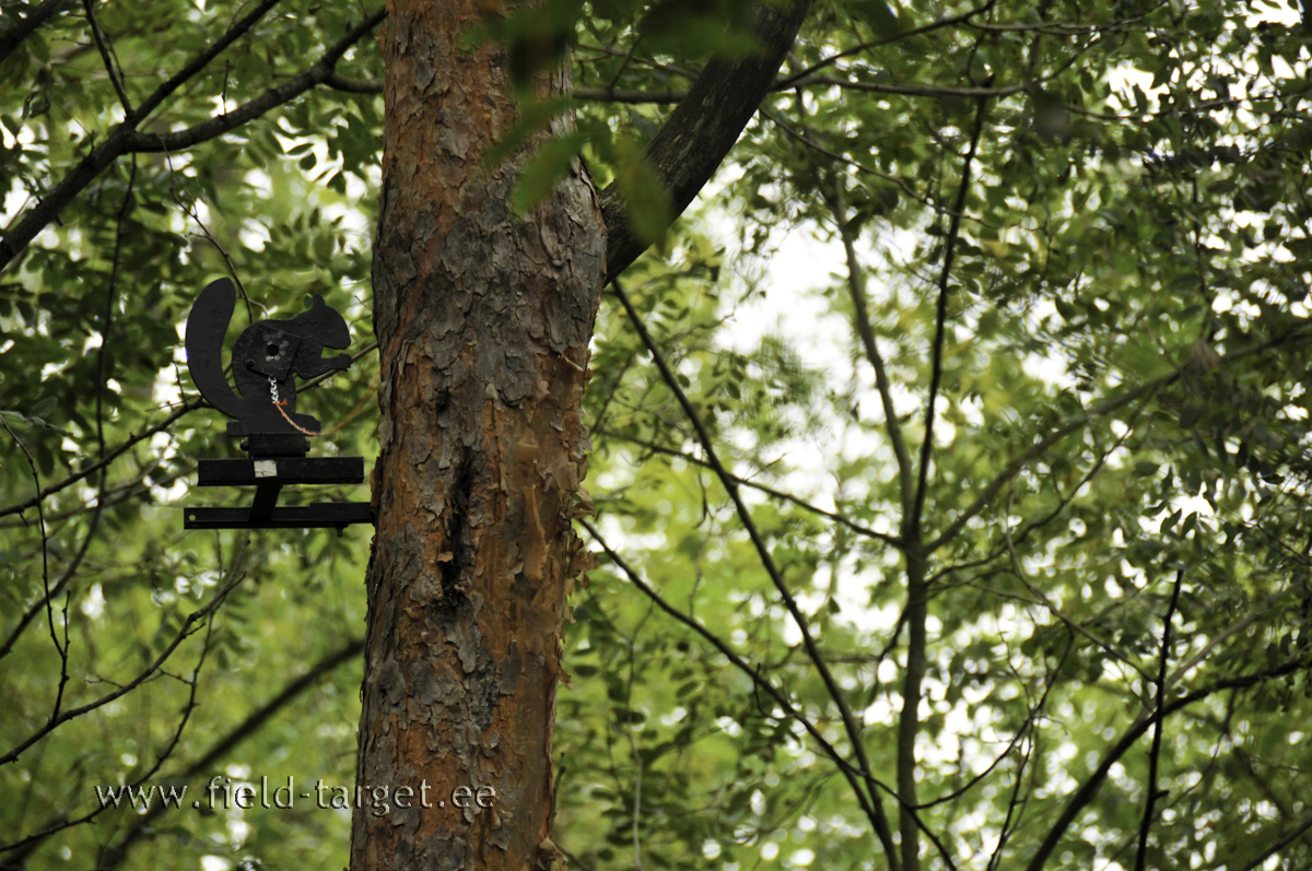 Kuidas lasta märki kui märk on 12 m kõrgusel?